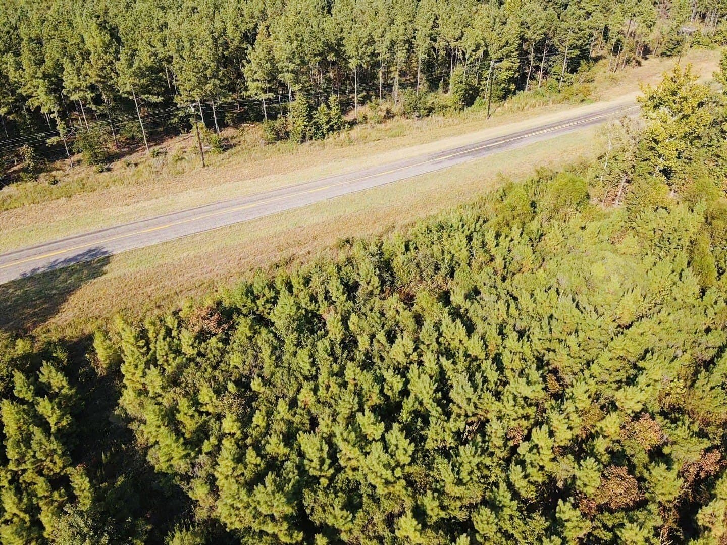 100 acres in Red River (TX) County - photo 10