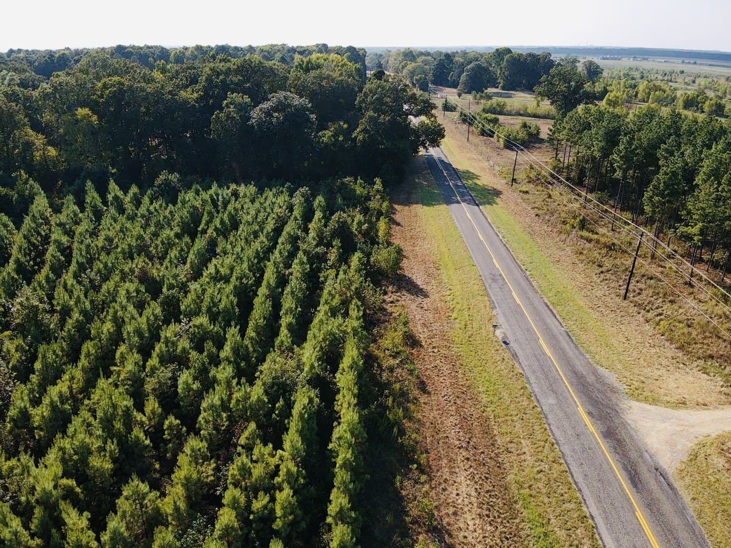 100 acres in Red River (TX) County - photo 7