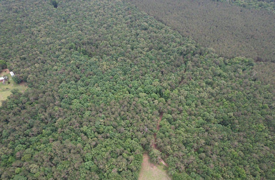 122 acres in Shelby County - photo 16