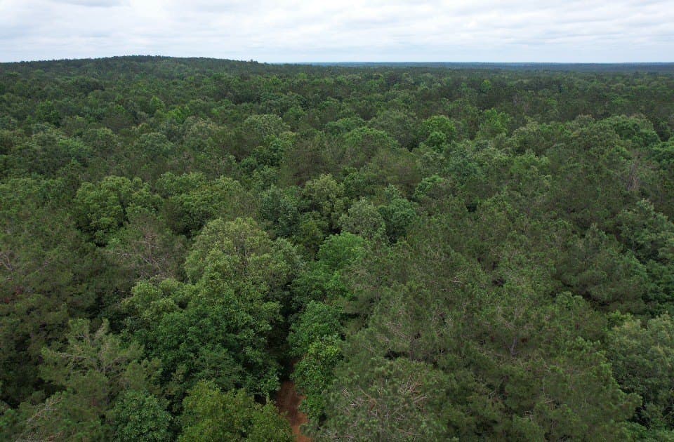 122 acres in Shelby County - photo 15