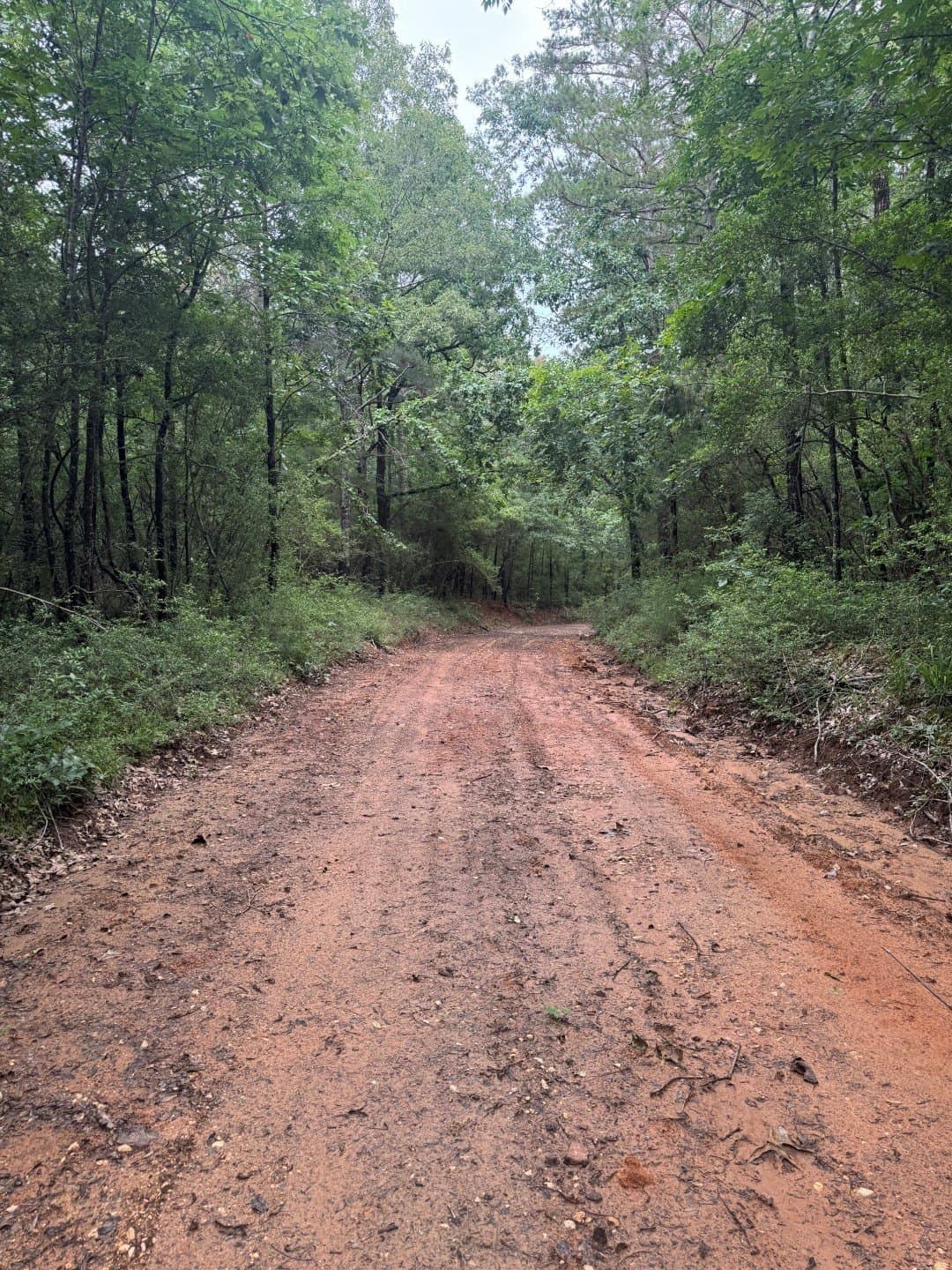 122 acres in Shelby County - photo 8