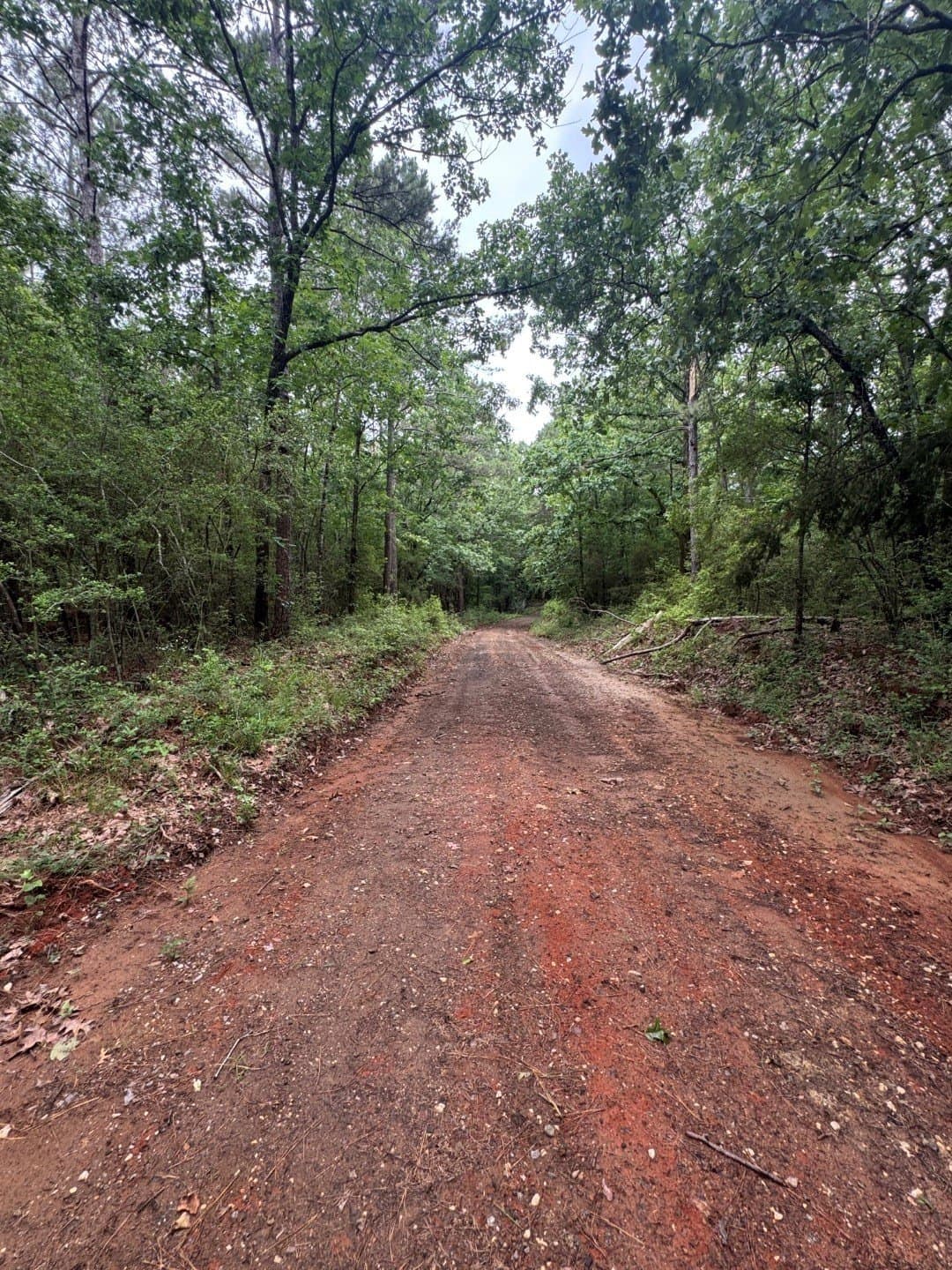 122 acres in Shelby County - photo 12