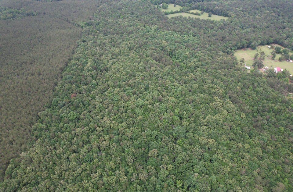 122 acres in Shelby County - photo 17