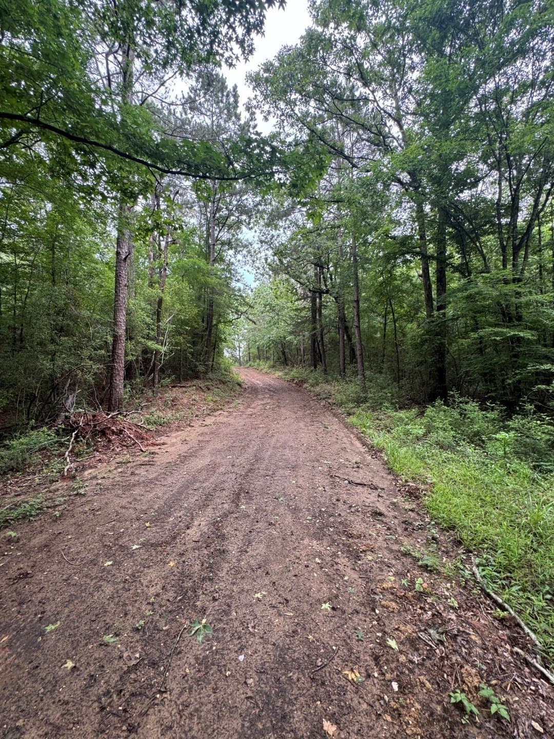 122 acres in Shelby County - photo 11