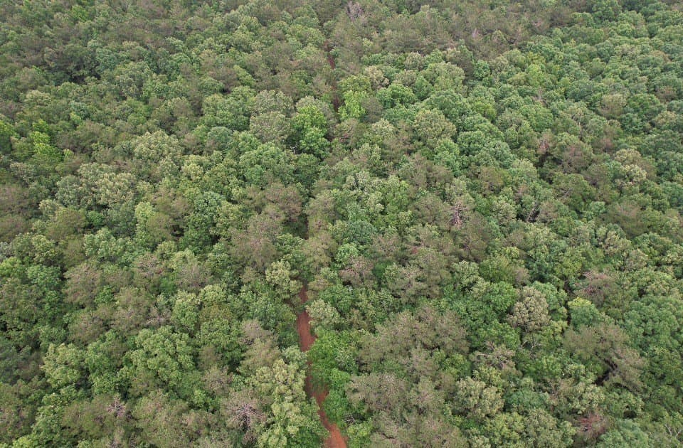 122 acres in Shelby County - photo 3