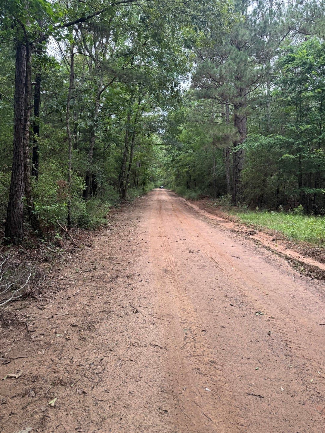 122 acres in Shelby County - photo 7
