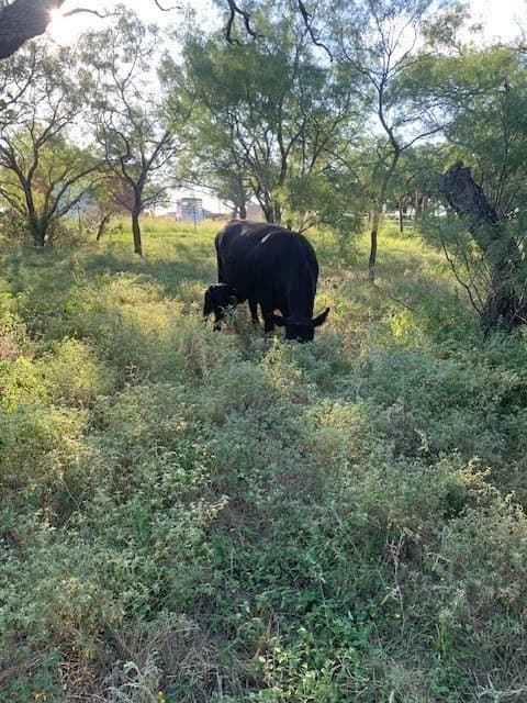 50 acres in Comanche County - photo 30
