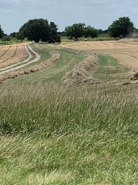 50 acres in Comanche County - photo 31