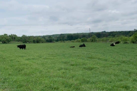 50 acres in Comanche County - photo 27