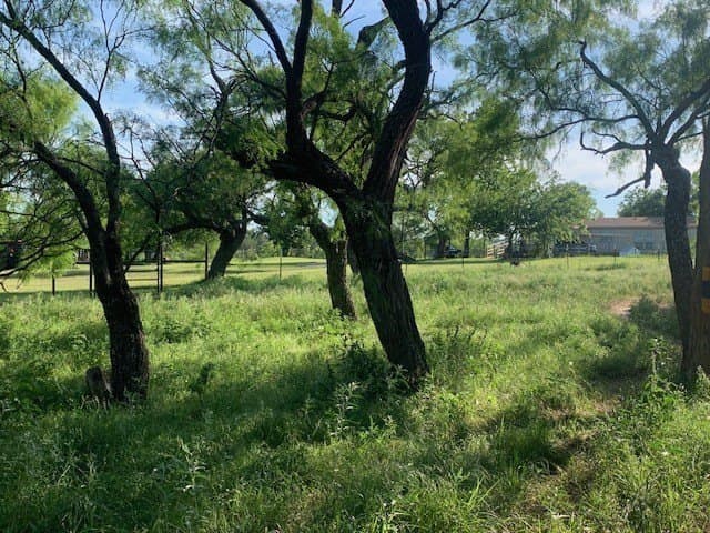 50 acres in Comanche County - photo 26