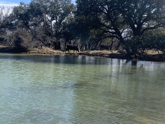50 acres in Comanche County - photo 22