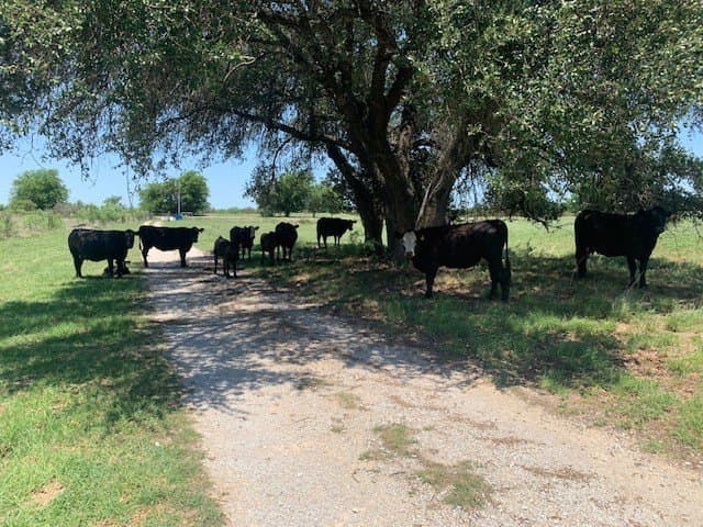 50 acres in Comanche County - photo 29