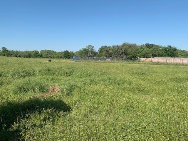 50 acres in Comanche County - photo 32