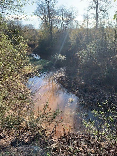 50 acres in Comanche County - photo 23
