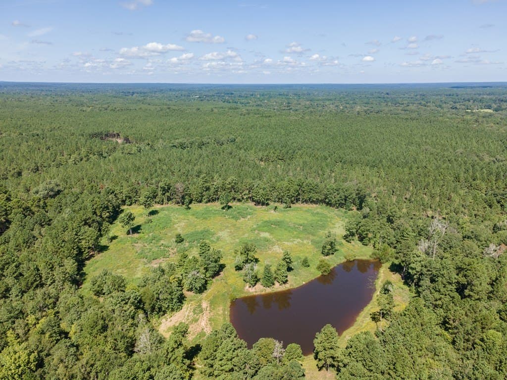 35.1 acres in Texas County featured view