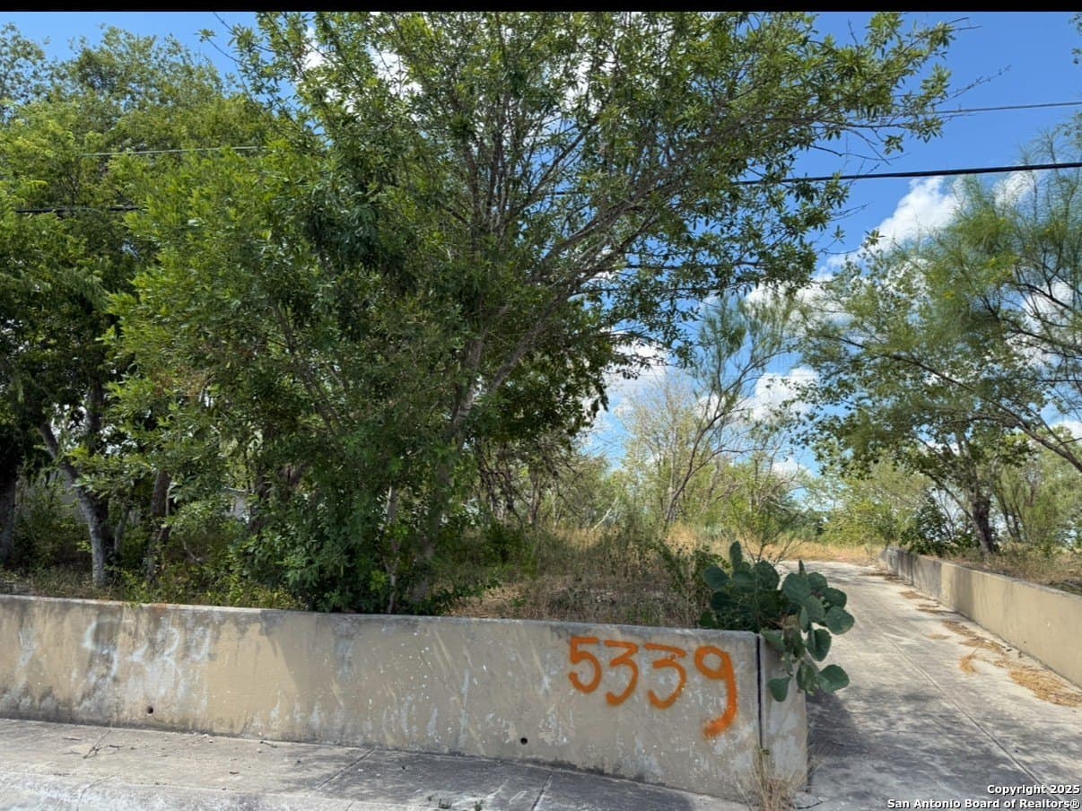 0.2 acres in Bexar County gallery image 2