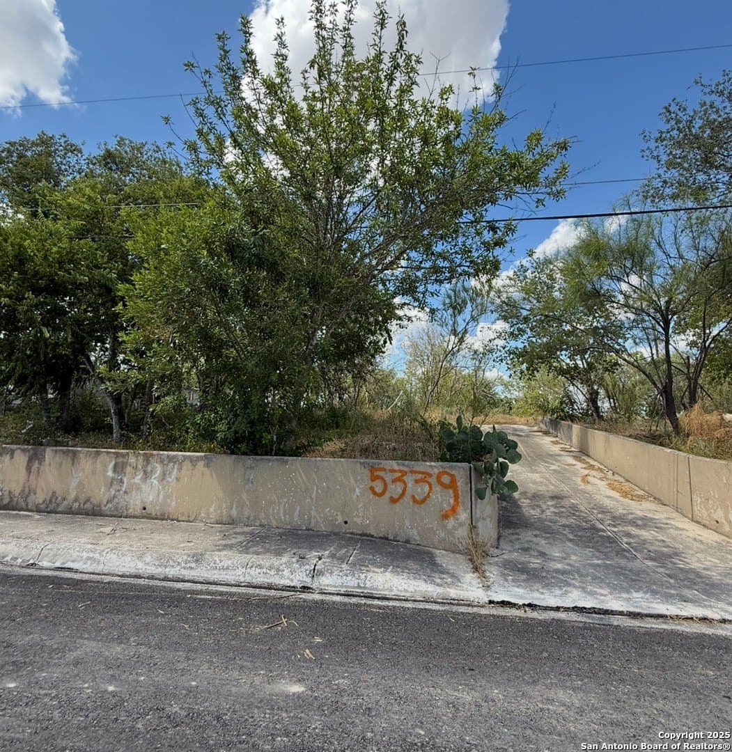 0.2 acres in Bexar County gallery image 4