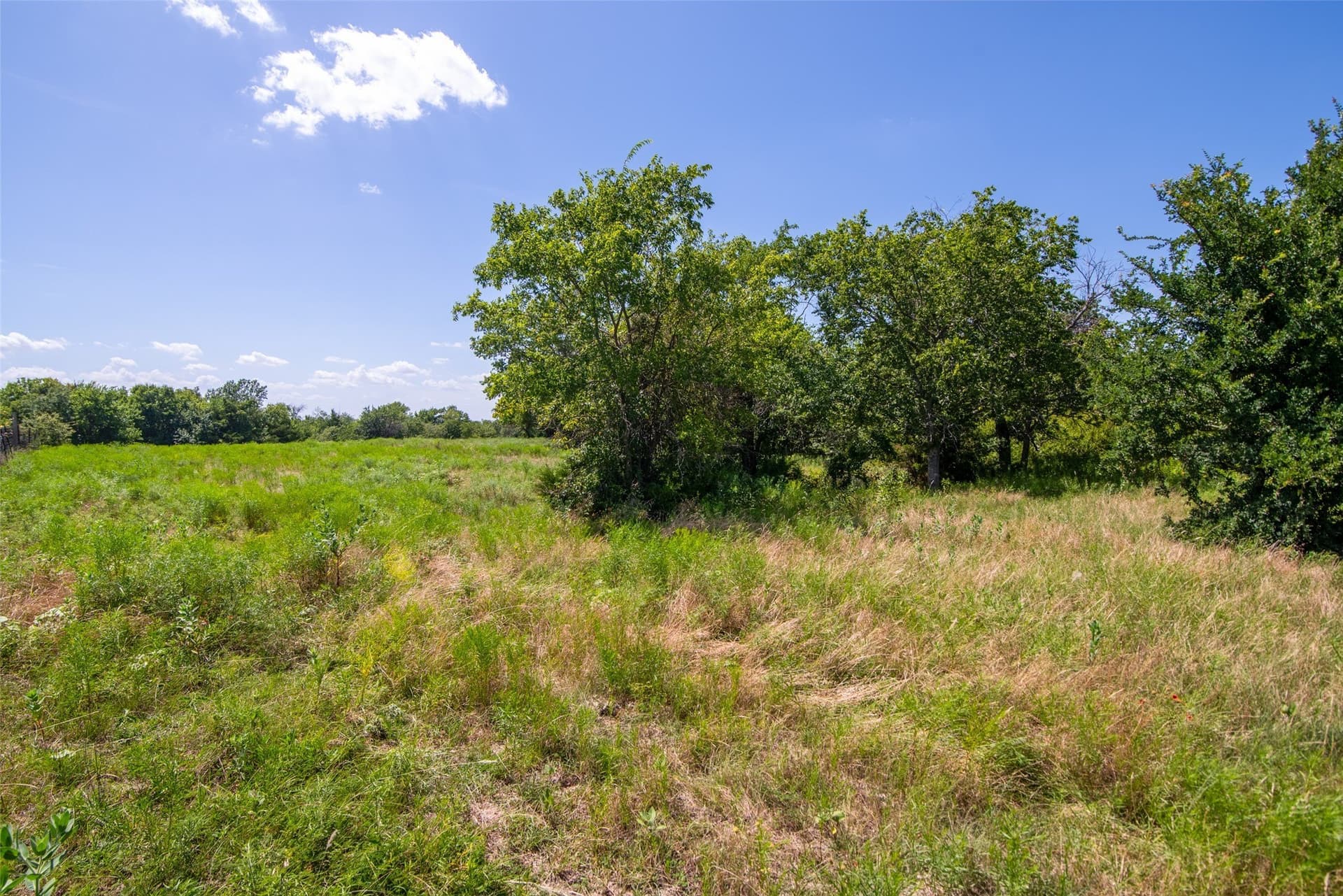 82.28 acres in Collin County - photo 3