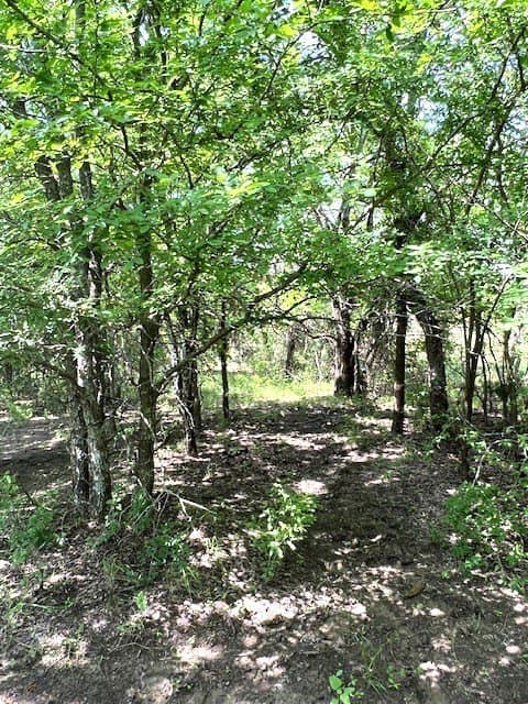 82.28 acres in Collin County - photo 4