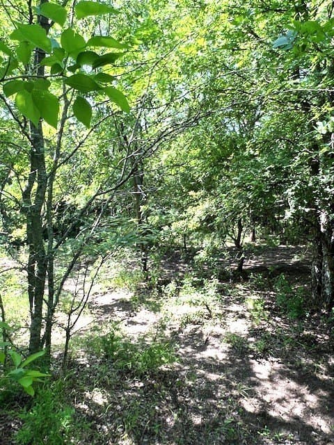 82.28 acres in Collin County - photo 10
