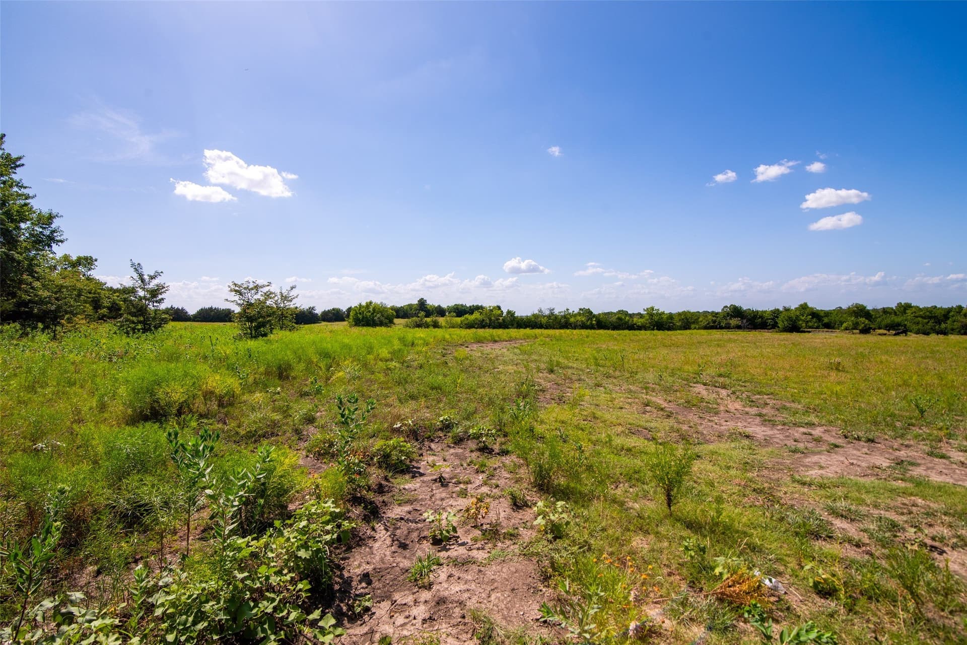 82.28 acres in Collin County - photo 13