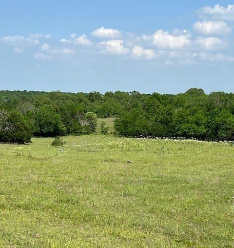 82.28 acres in Collin County - photo 20