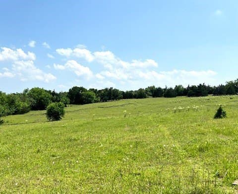 82.28 acres in Collin County - photo 2