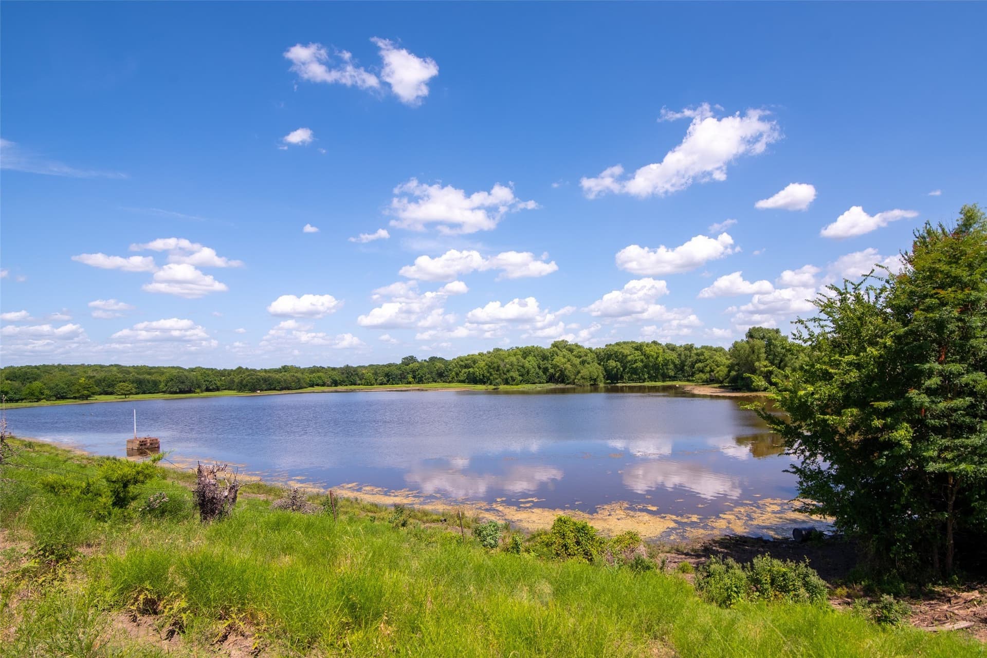 82.28 acres in Collin County