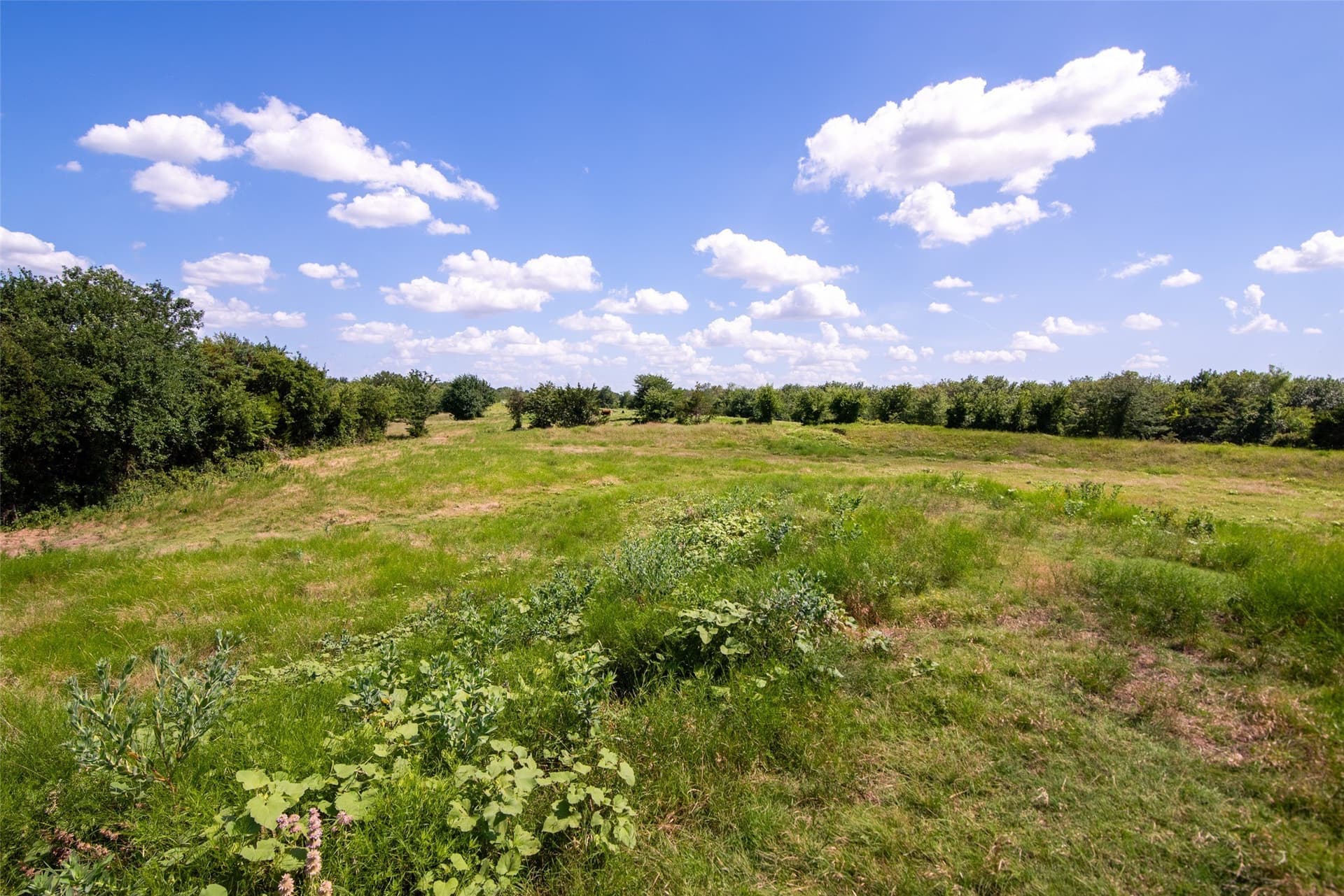82.28 acres in Collin County - photo 9