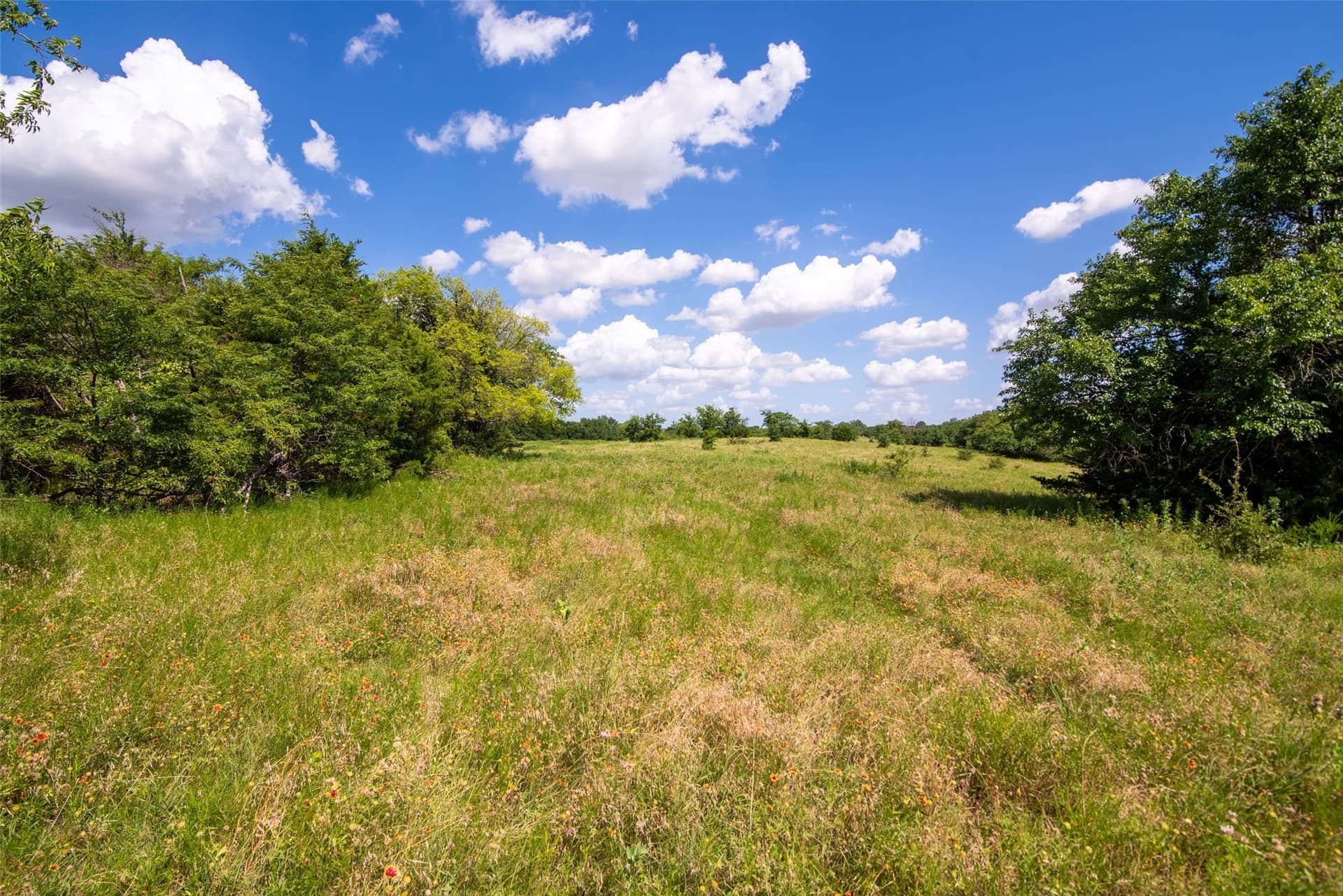 82.28 acres in Collin County - photo 11