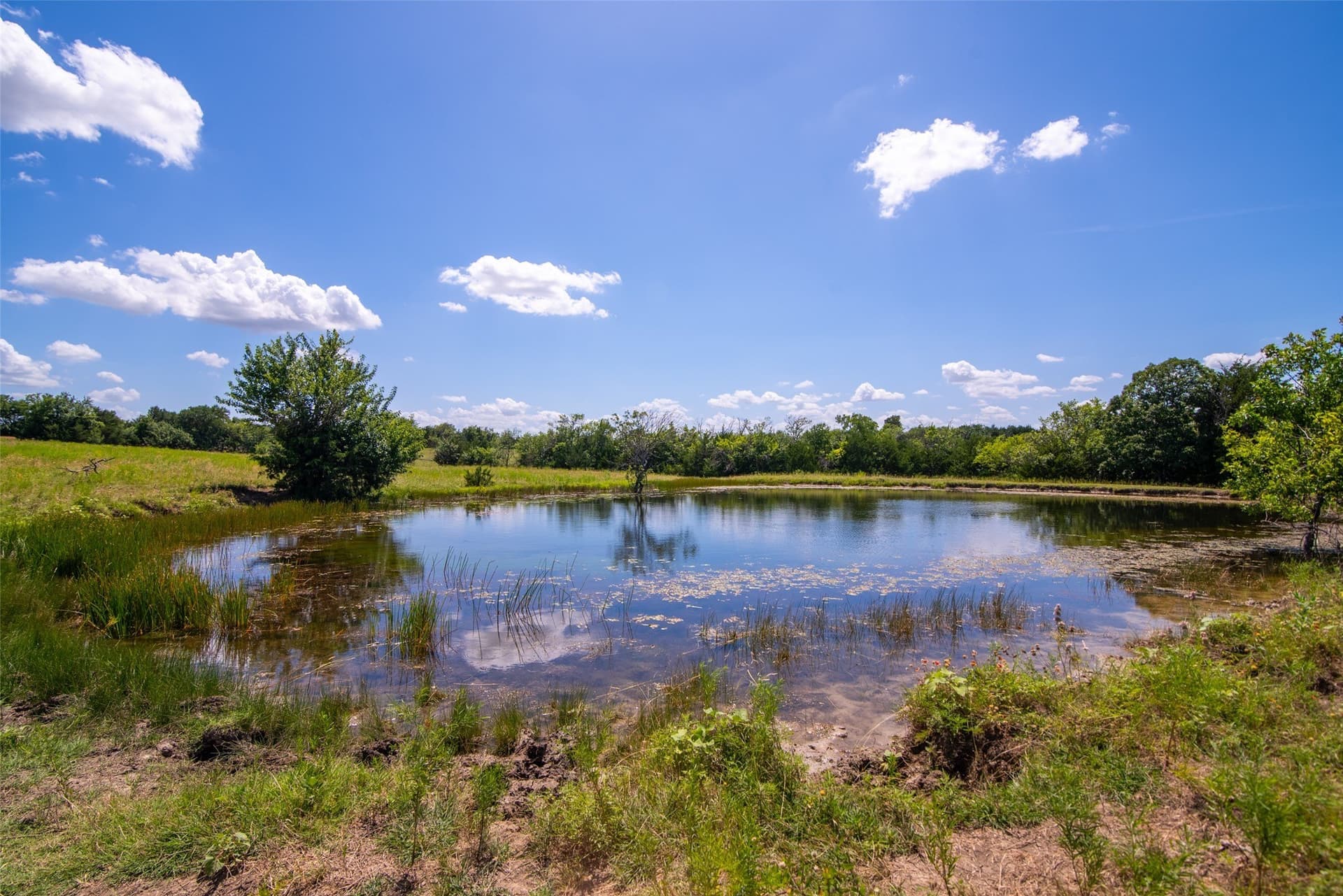 82.28 acres in Collin County - photo 14