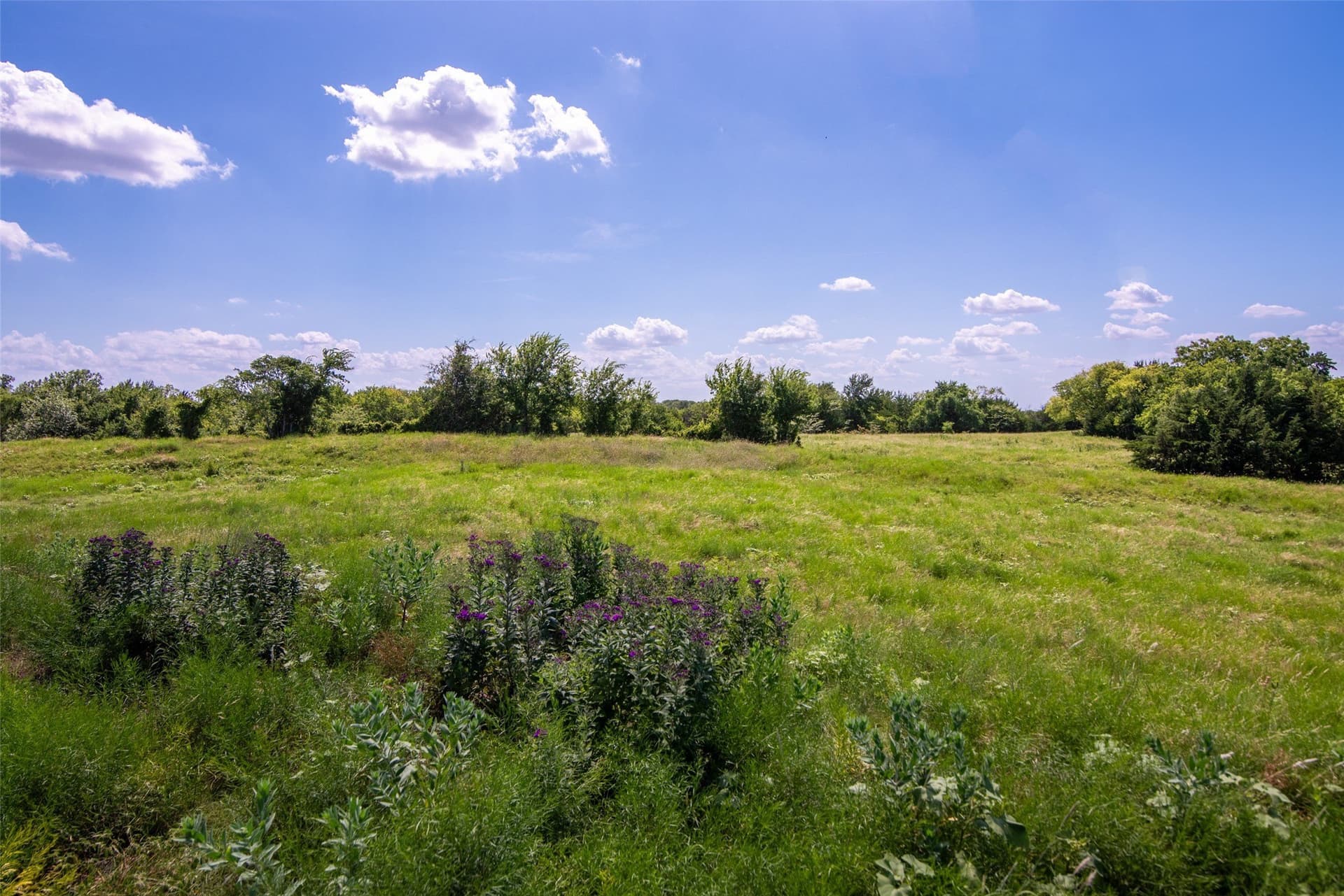 82.28 acres in Collin County - photo 8