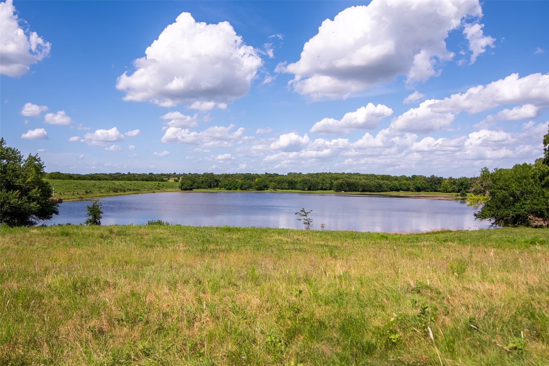 82.28 acres in Collin County - photo 12