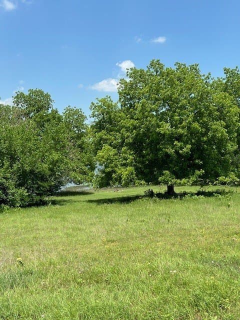 82.28 acres in Collin County - photo 18
