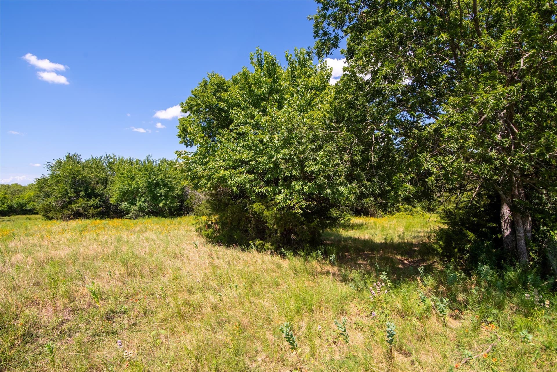 82.28 acres in Collin County - photo 5