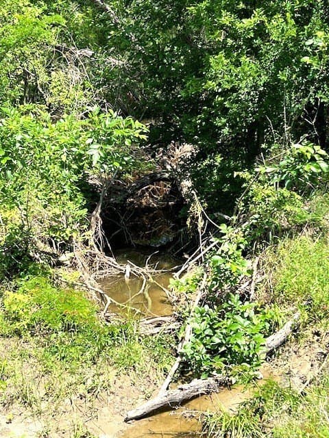 82.28 acres in Collin County - photo 19