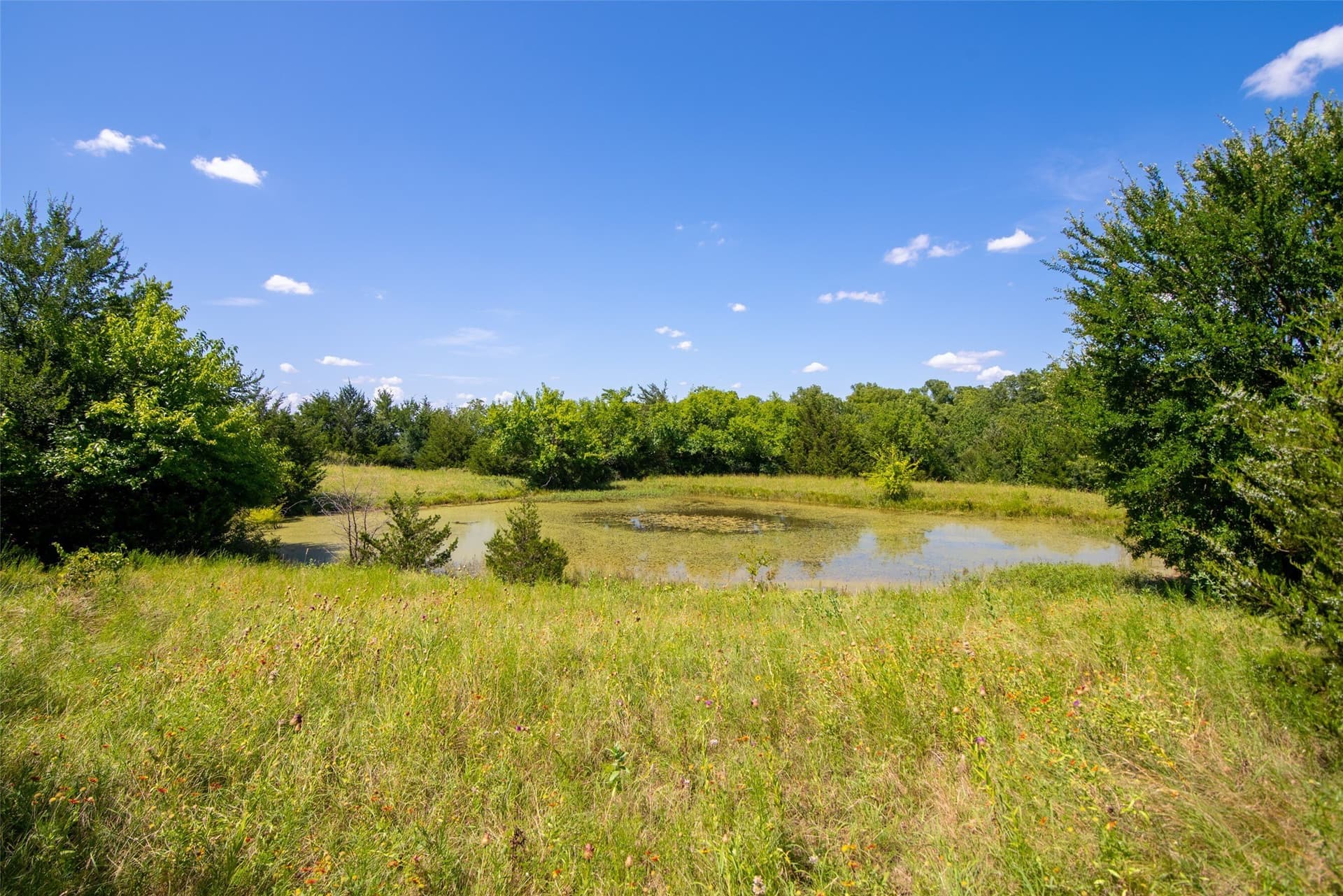 82.28 acres in Collin County - photo 6