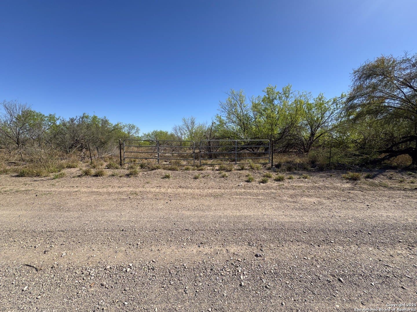11.75 acres in Webb County - photo 4