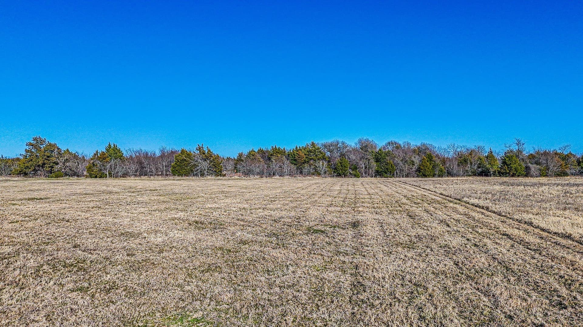 1 acres in Navarro County - photo 14