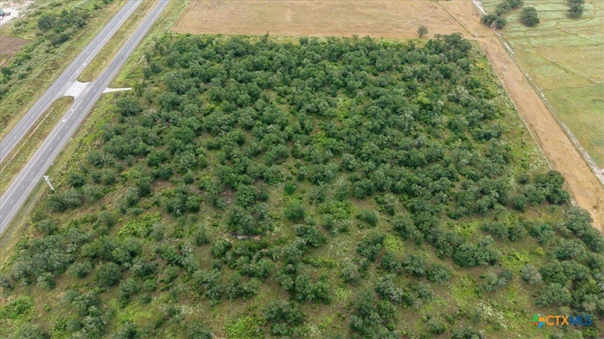 10.39 acres in Bastrop County - photo 10