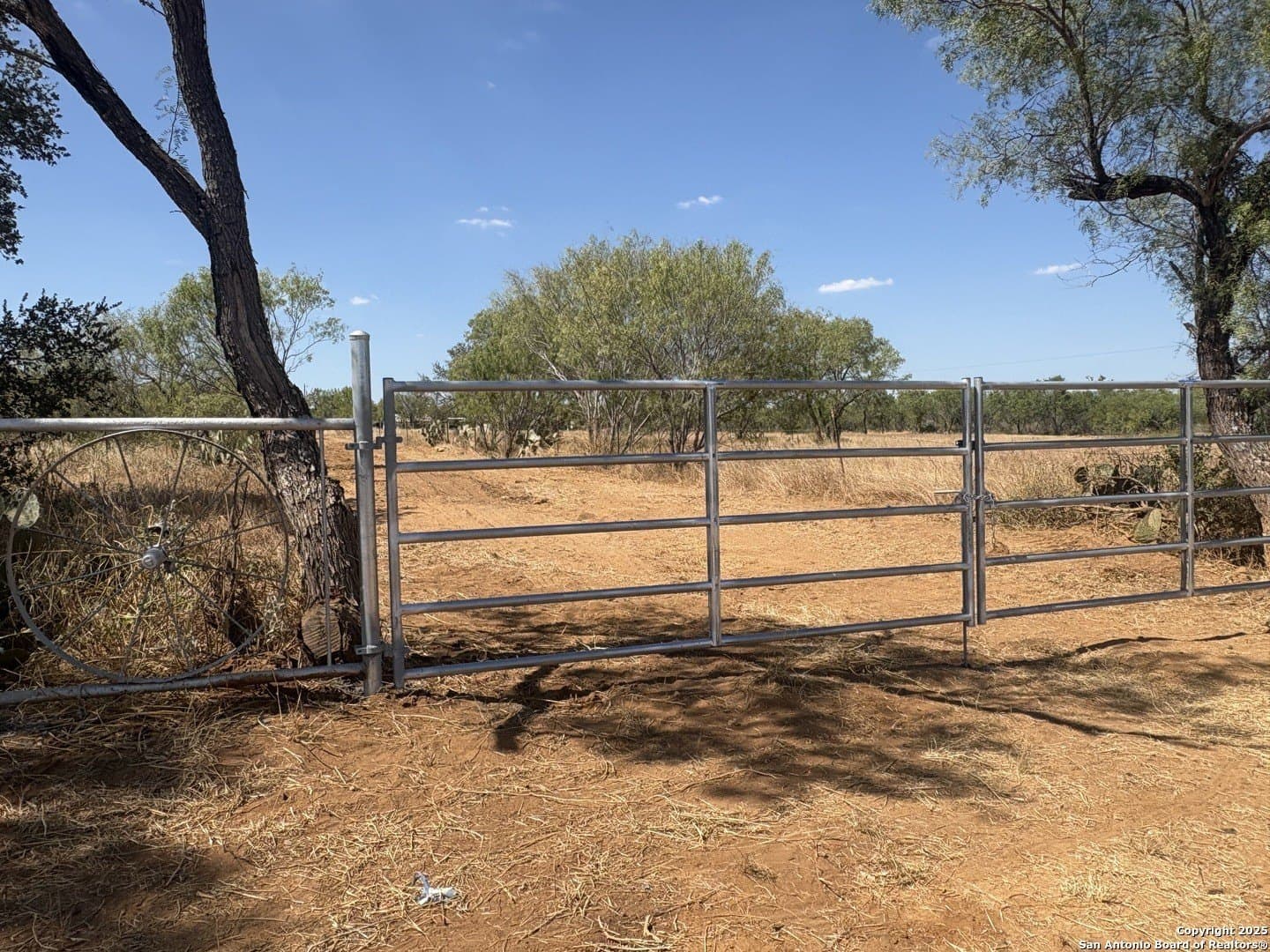 12.34 acres in Atascosa County gallery image 3