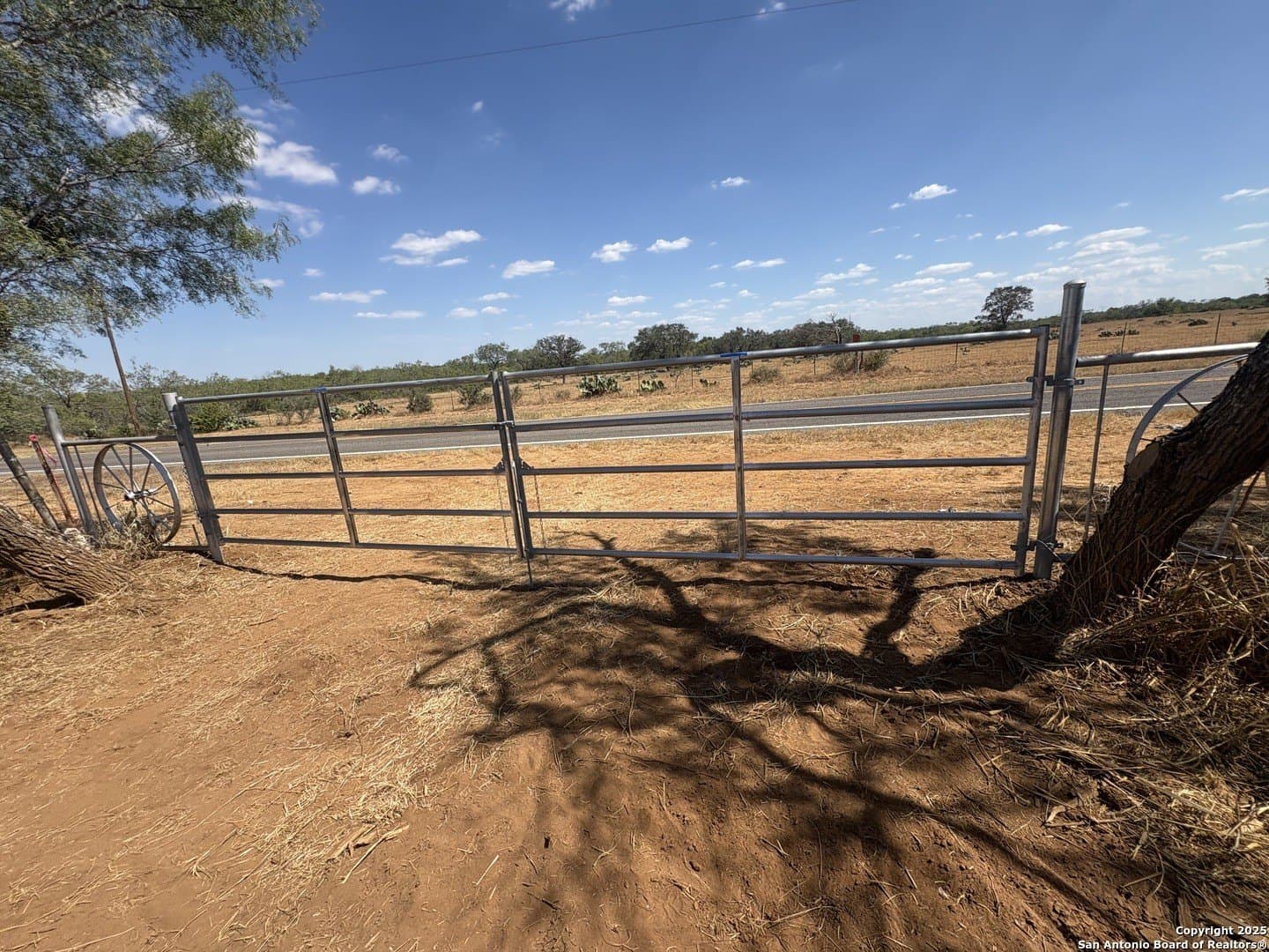 12.34 acres in Atascosa County gallery image 4