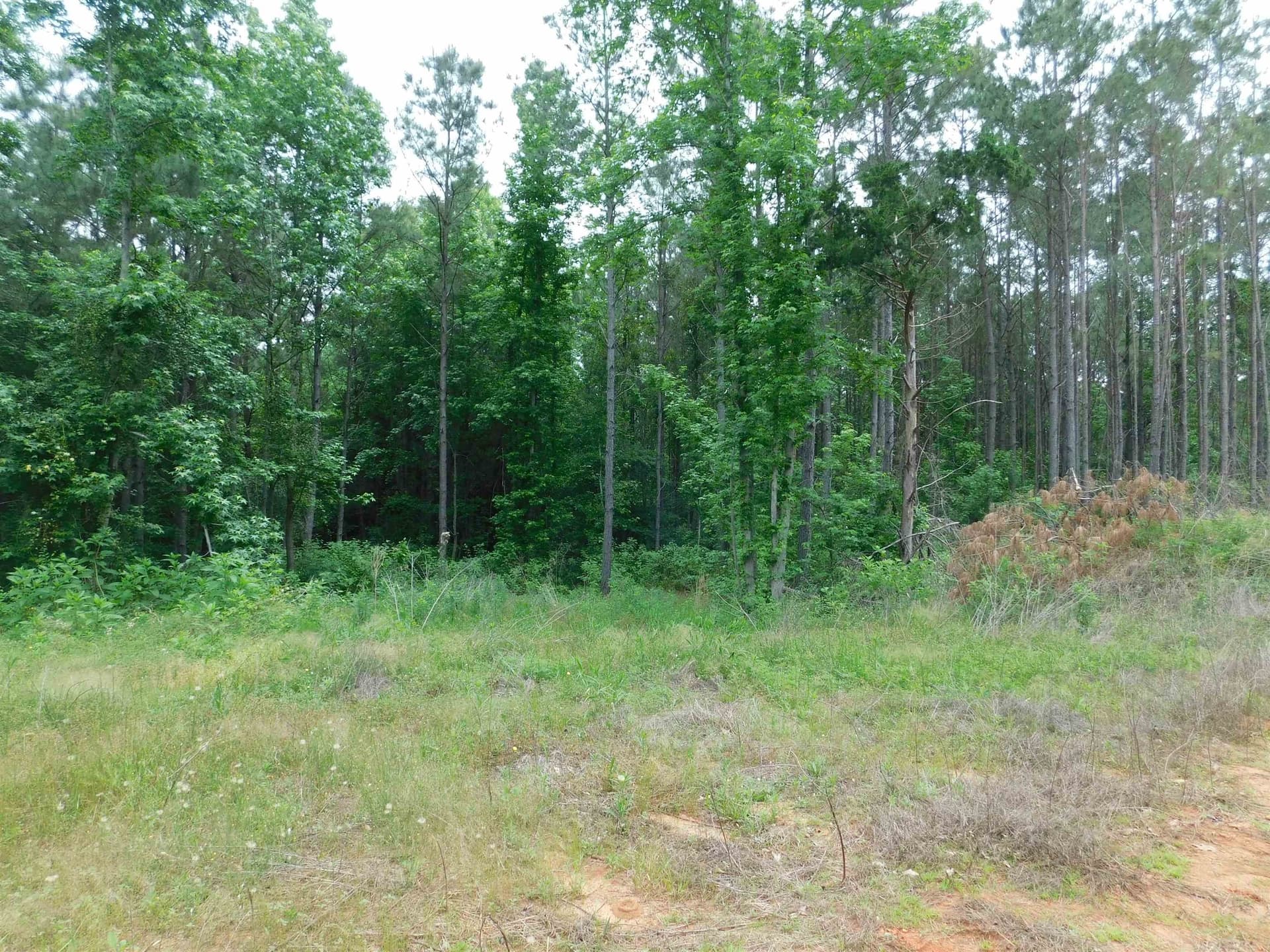 0.71 acres in Texas County gallery image 2