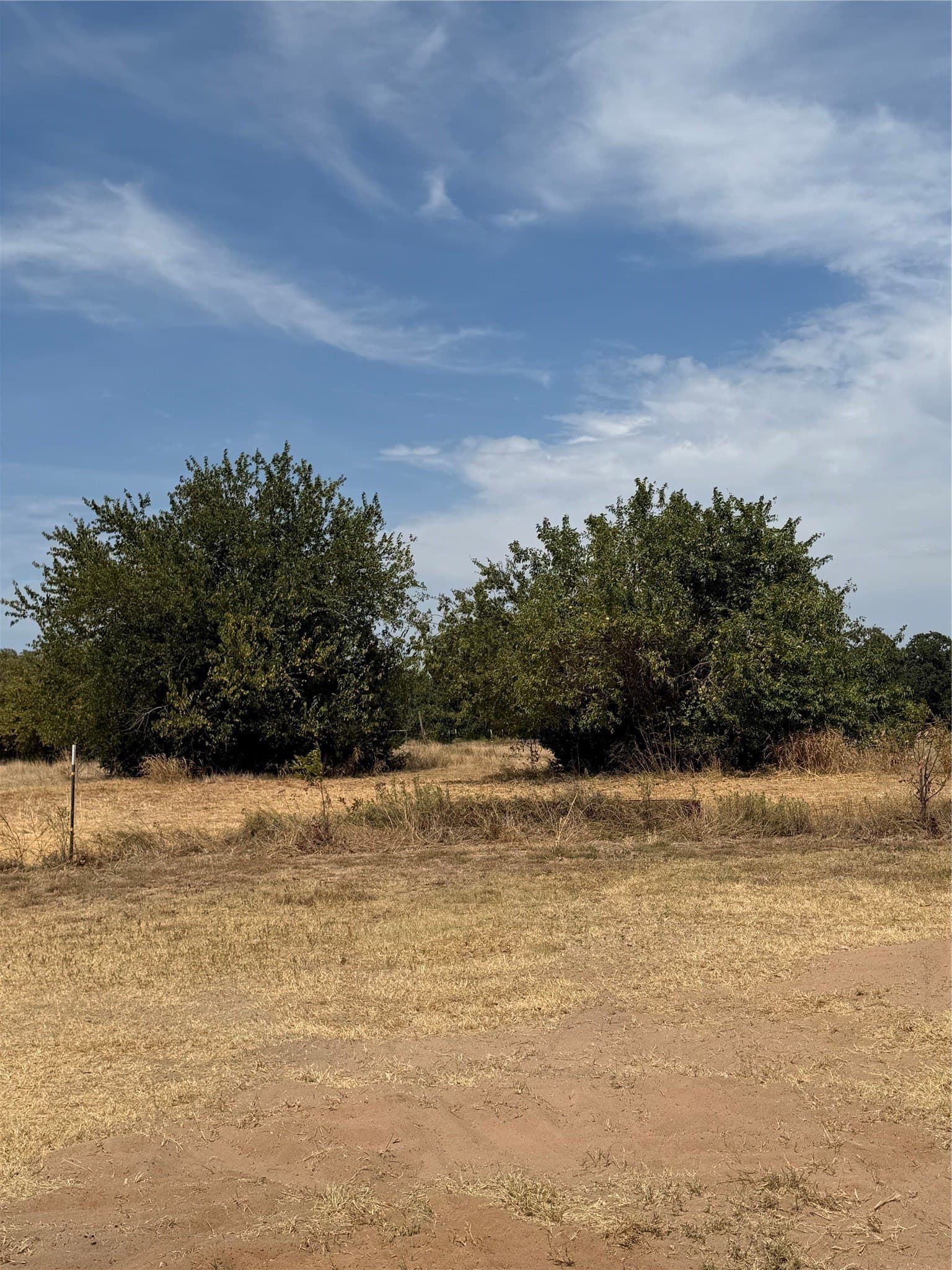 27.39 acres in Montague County - photo 13