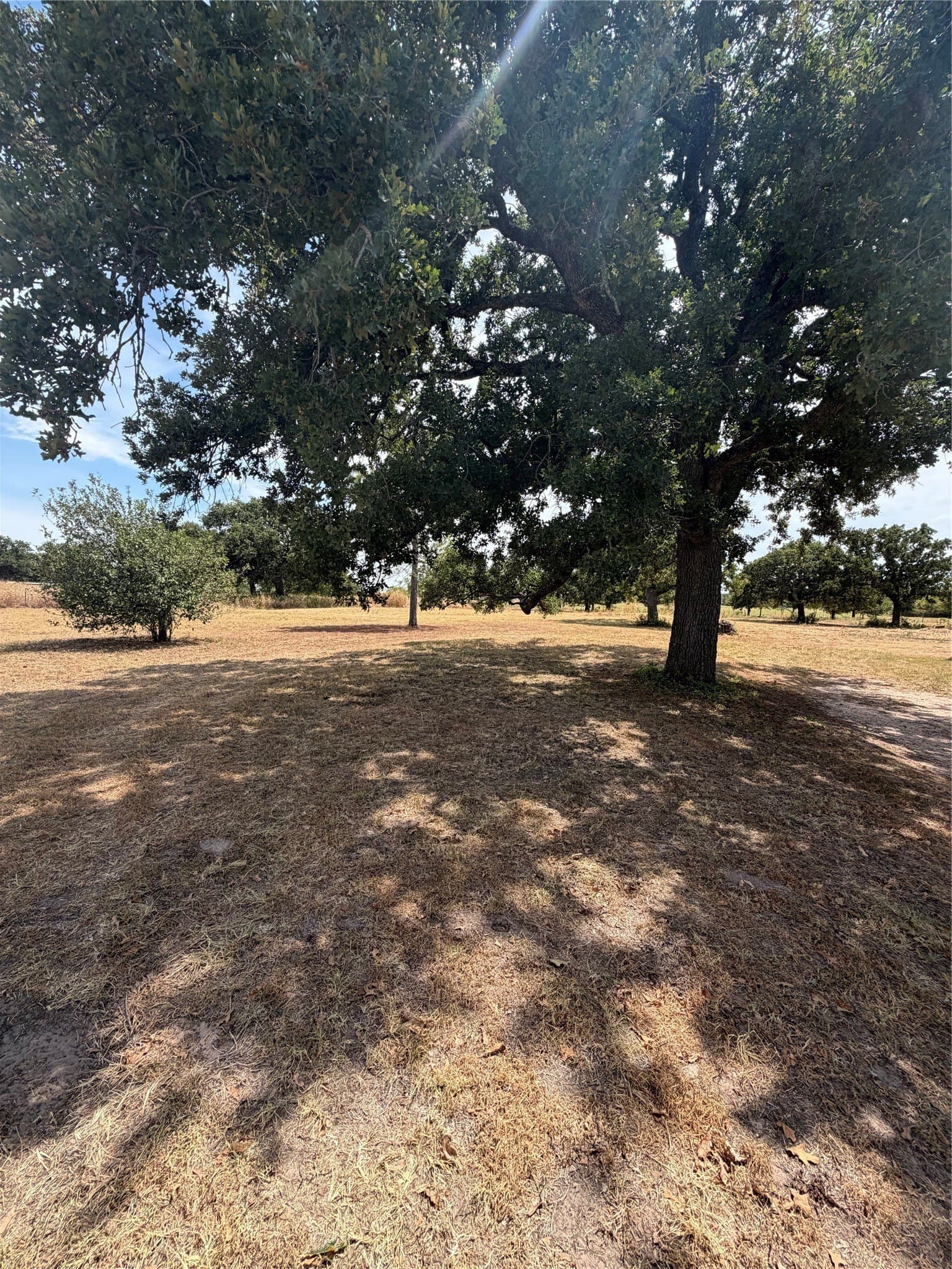 27.39 acres in Montague County - photo 16