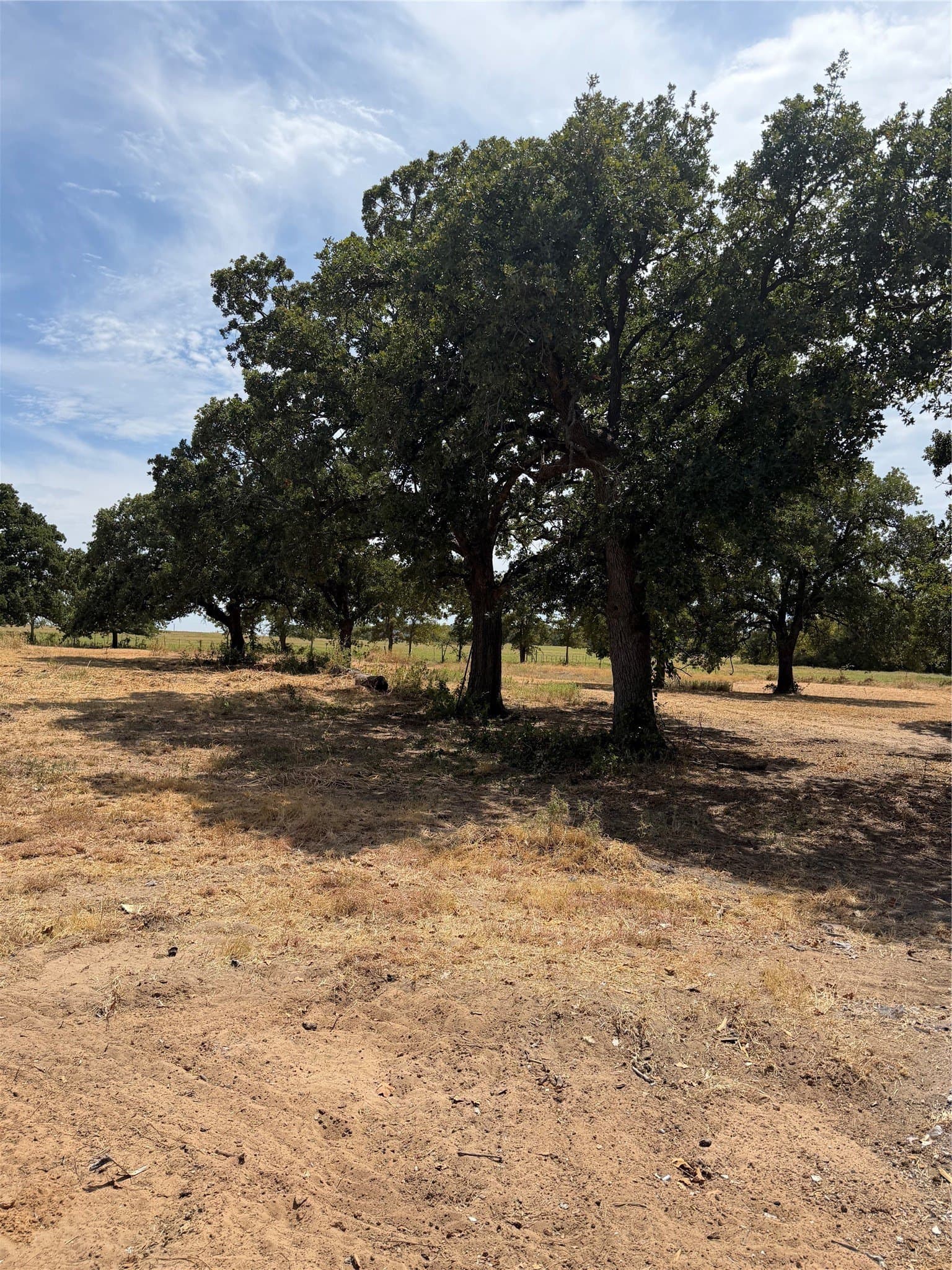 27.39 acres in Montague County - photo 9