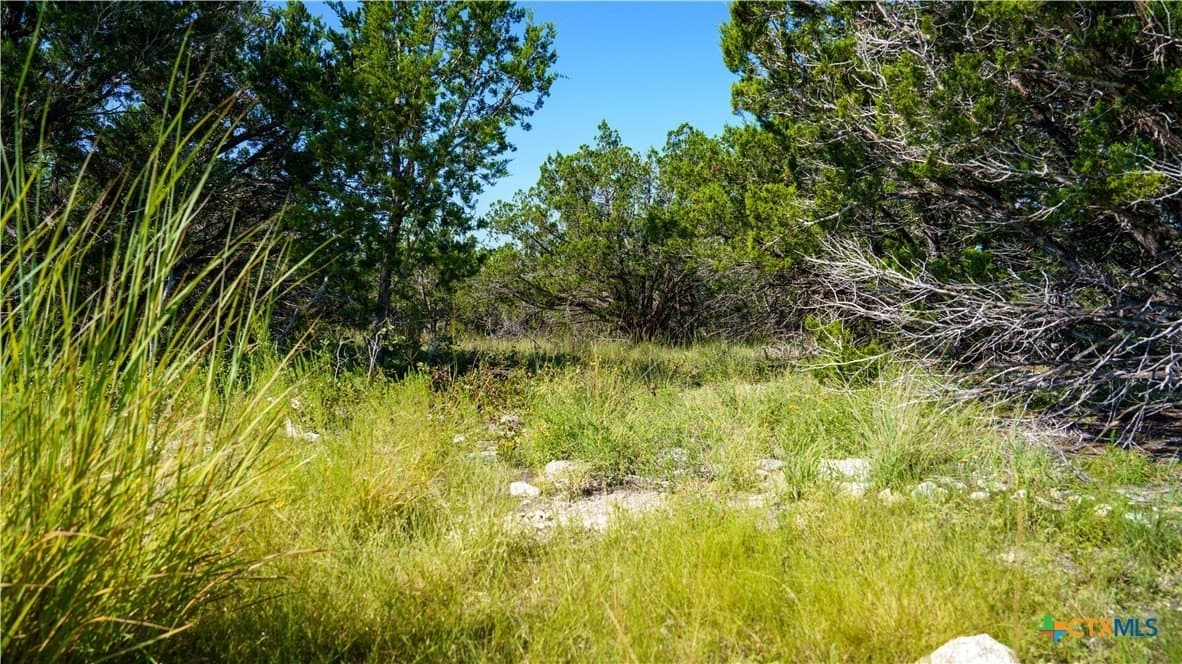 20.04 acres in Kerr County - photo 6