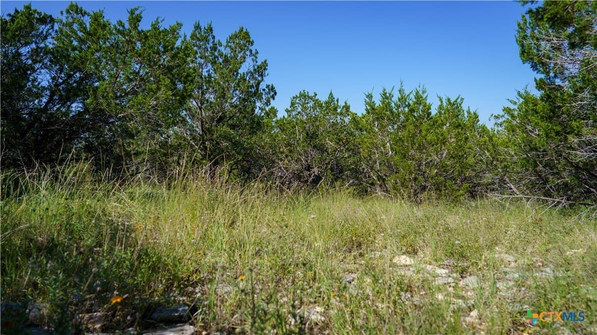 20.04 acres in Kerr County - photo 12