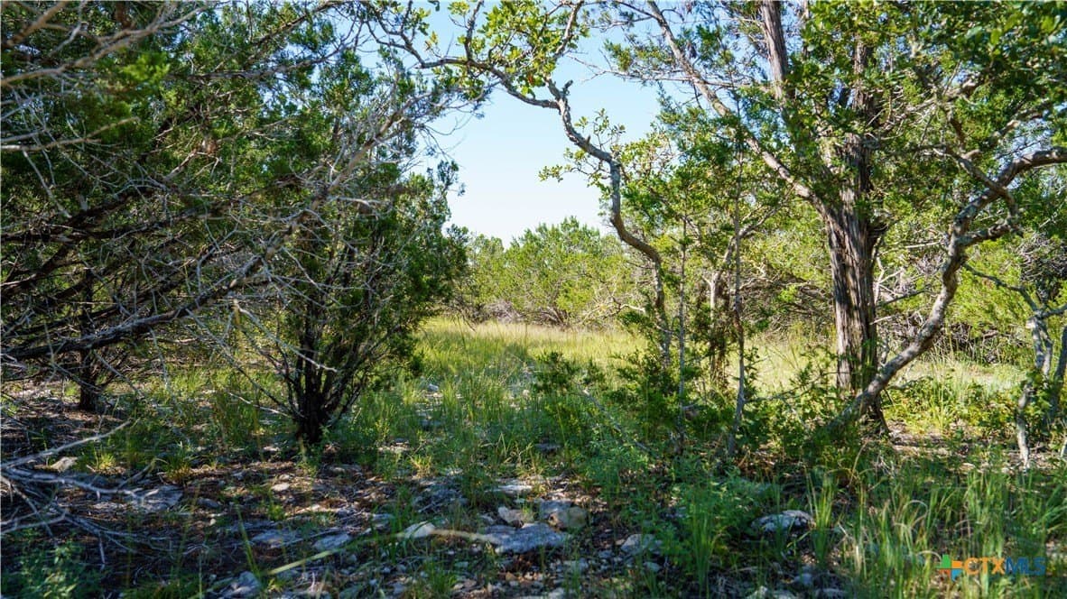 20.04 acres in Kerr County gallery image 4
