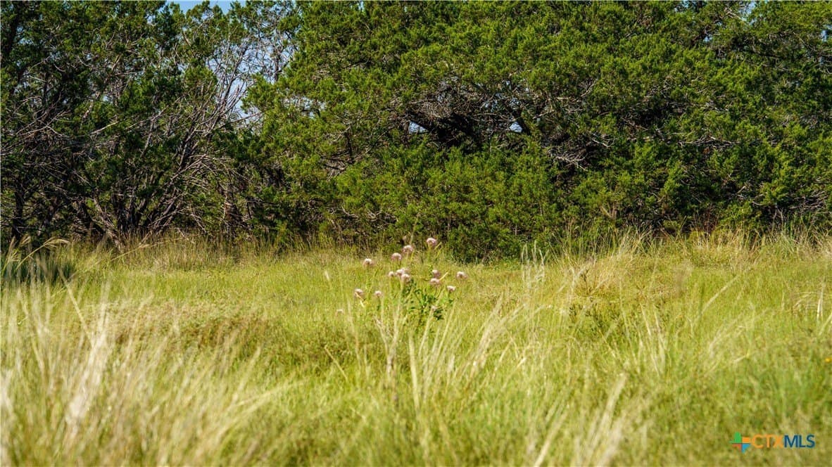 20.04 acres in Kerr County - photo 9